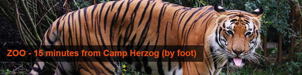 ZOO Praha
